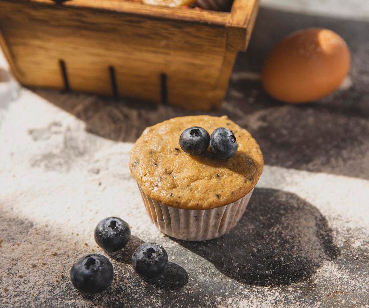 Blueberry Yogurt Muffins