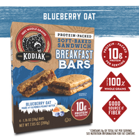 Blueberry Oat Breakfast Bars