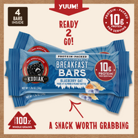 Blueberry Oat Breakfast Bars