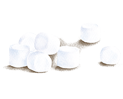 Product Ingredient Illustration