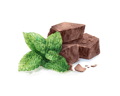 Product Ingredient Illustration