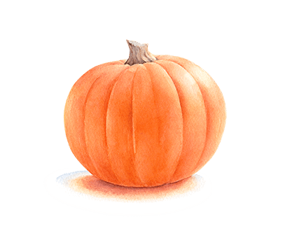 Product Ingredient Illustration